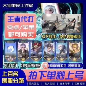 王者荣耀极速代打排位巅峰战力 首单特价