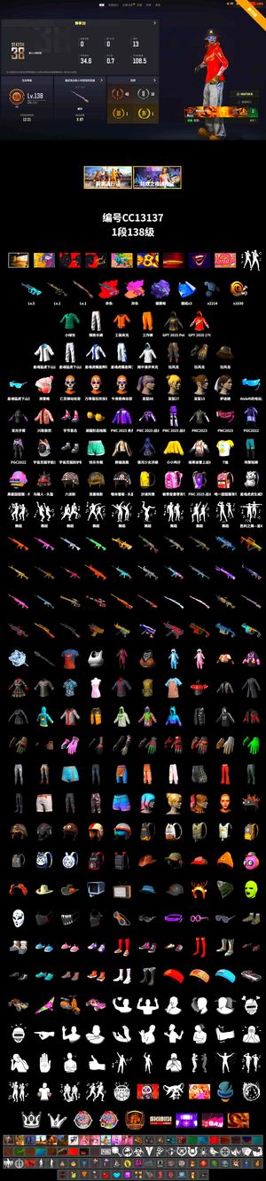 绝地求生（PUBG）511 2色