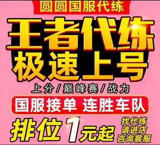 王者荣耀极速代打排位巅峰战力 打坏包赔