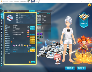 QQ飞车【1级】3S/众神之神29双4/