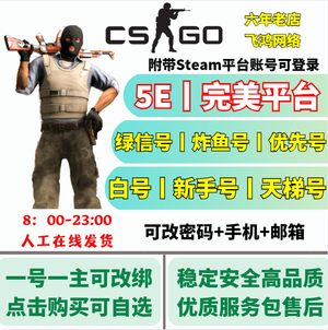 CSGO完美丨5E丨新手丨老兵丨天梯号
