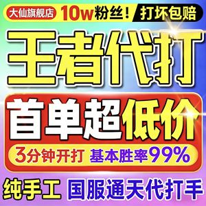 王者荣耀极速代打排位巅峰战力 首单特价