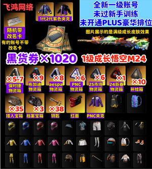 绝地求生（PUBG）1级孙悟空M24⭐1020票券