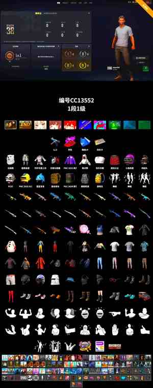 绝地求生（PUBG）4张图纸/2级寒烛MP5异色