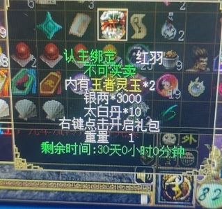 刀剑英雄（端游）8月新3000银两太白丹10个