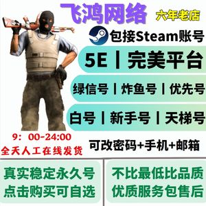 CSGO完美丨5E丨新手丨老兵丨天梯号