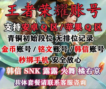 王者荣耀【担保】2万金4.8万铭文改名卡
