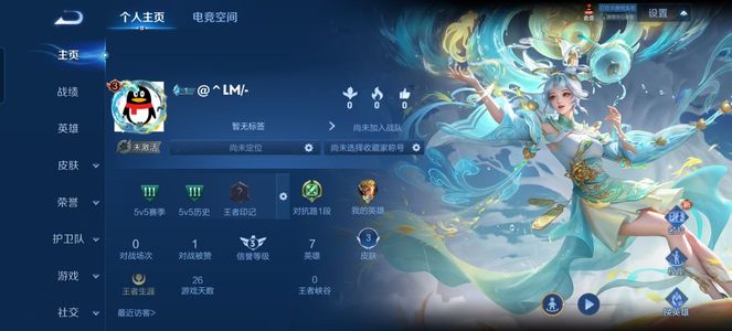 王者荣耀【担保】云诺千山 公孙离fmvp 零排