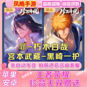 王者荣耀宫本黑崎一护/朽木白哉天幕秒发