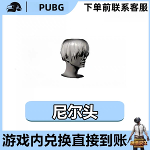 绝地求生（PUBG）【担保】-尼尔头/尼尔发型