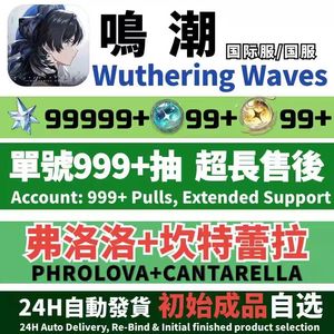 鸣潮（外服）国际服999抽欧皇自抽安全不封