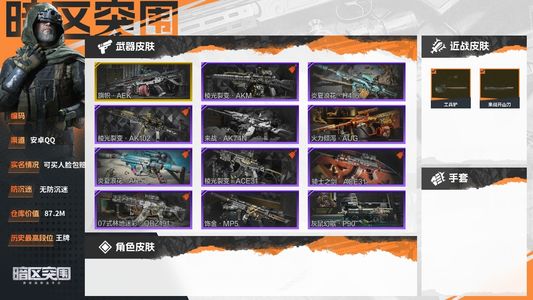 暗区突围【30级】87M库存 84M纯币