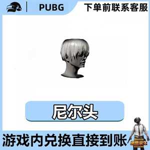 绝地求生（PUBG）尼尔头/尼尔发型