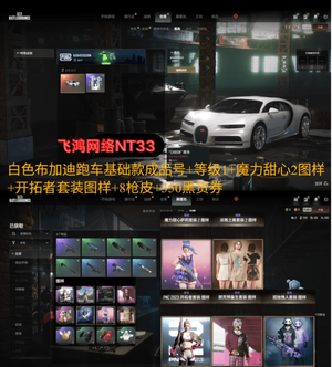 绝地求生（PUBG）布加迪跑车⭐350券⭐真实图片