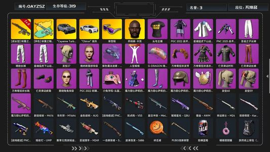 绝地求生（PUBG）妖魔ace 卡宴 布加迪 