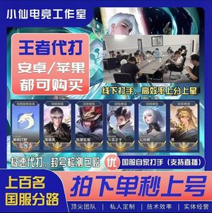 王者荣耀接王者双端任意代练 首单特惠