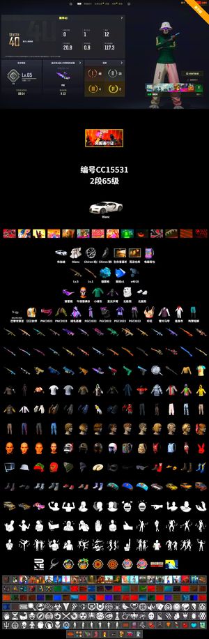 绝地求生（PUBG）布加迪 5级妖魔ace 电磁包