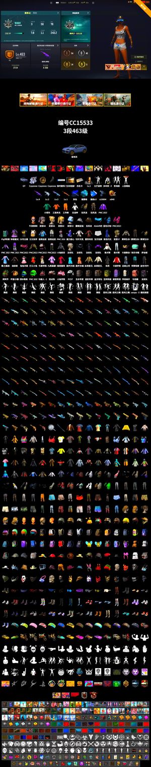 绝地求生（PUBG）卡宴 4级美杜莎 多利安