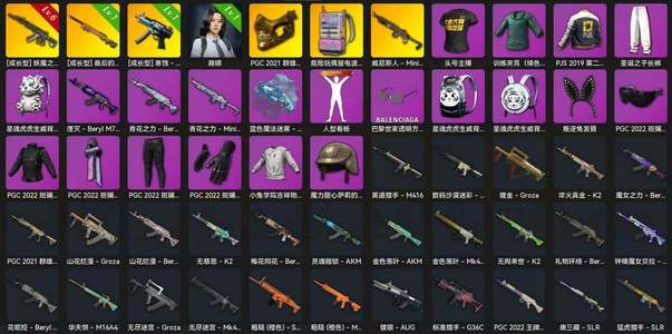 绝地求生（PUBG）6级妖魔ace 电磁包 翰娜