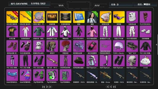 绝地求生（PUBG）满级弹珠 平底锅 翰娜 夜曲