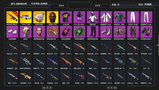 绝地求生（PUBG）满级美杜莎 布加迪 黑鬼烟雾弹