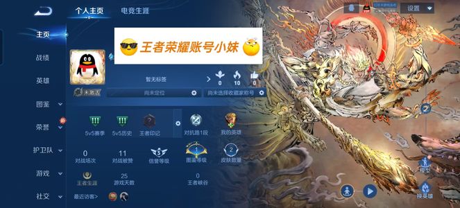 王者荣耀无相 孙悟空无双限定 零排位
