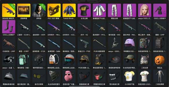 绝地求生（PUBG）5级美杜莎 金面 多利安