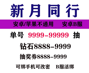 新月同行b服自选组合