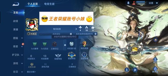 王者荣耀【担保】沧流箭 伽罗珍品传说 零排位