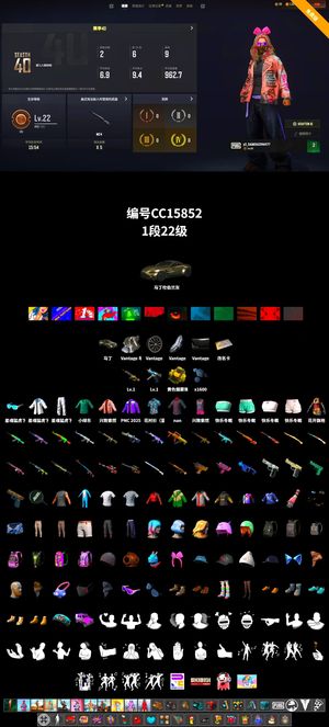 绝地求生（PUBG）马丁 时空 寒烛 烟雾弹 绿东