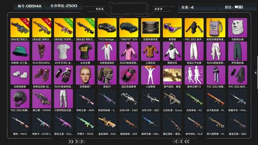 绝地求生（PUBG）9级显卡 8级火麒麟马丁电磁包