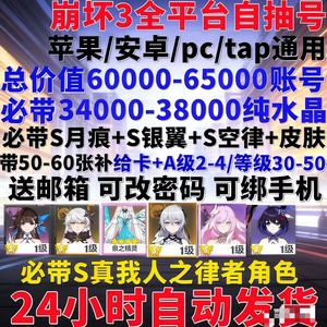 崩坏3总价值6.5万带S月痕银翼空律