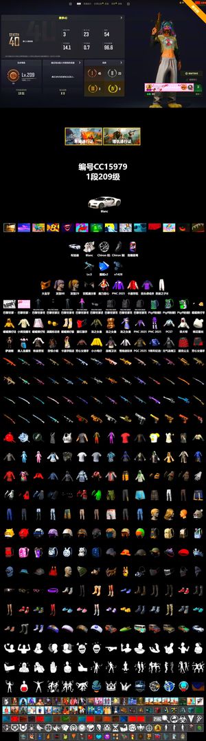 绝地求生（PUBG）布加迪 5级寒烛金面  2图纸