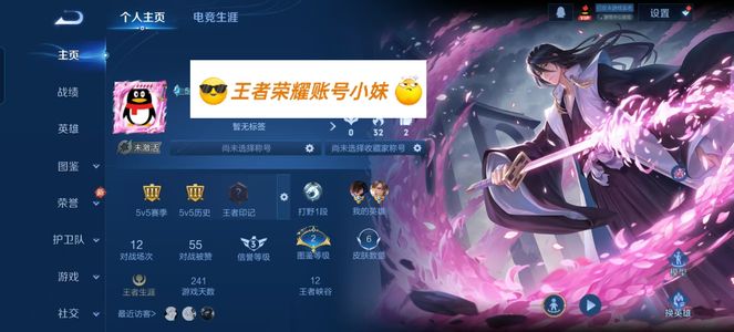 王者荣耀巧木白哉 暃珍品传说 排位没输