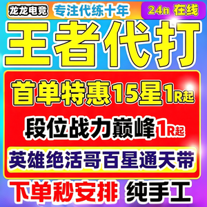 王者荣耀【咨询秒回】排位巅峰赛战力代练