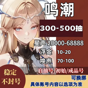 鸣潮【源头】高端纯手工爱弥斯高抽