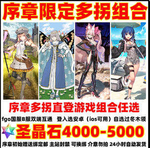 命运冠位指定（FGO）全是序章号