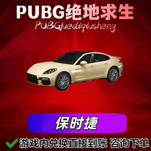绝地求生（PUBG）【G币】保时捷载具车皮兑换码⭐秒发