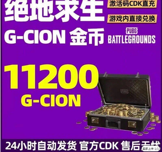 绝地求生（PUBG）【担保】-CDK秒发11200个G币