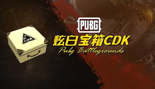 绝地求生（PUBG）PUBG炫白宝箱5个