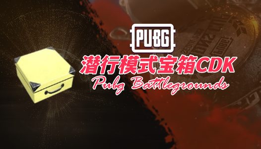 绝地求生（PUBG）PUBG潜行模式宝箱10个
