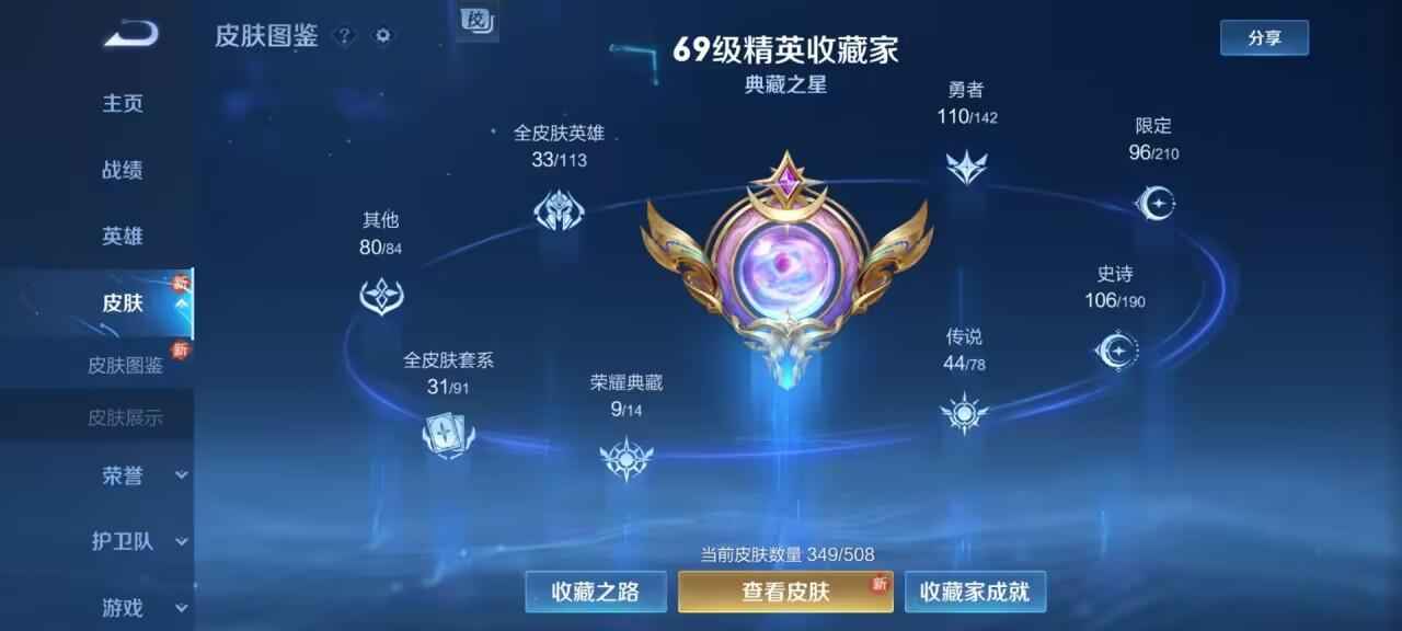 王者荣耀【114英雄349皮肤】V10，总皮*349