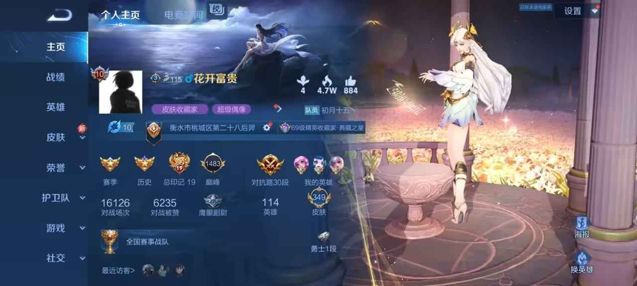 王者荣耀【114英雄349皮肤】V10，总皮*349