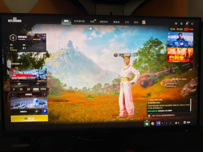 绝地求生（PUBG）退游了不玩了 价格可商量