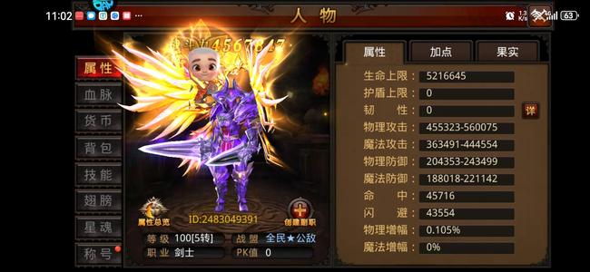 全民奇迹【500级剑士】卡5转战士