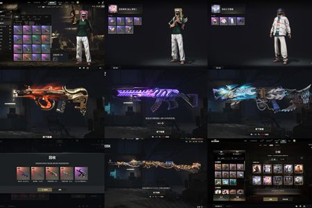 绝地求生（PUBG）四成长武器加还有1160蜗牛币