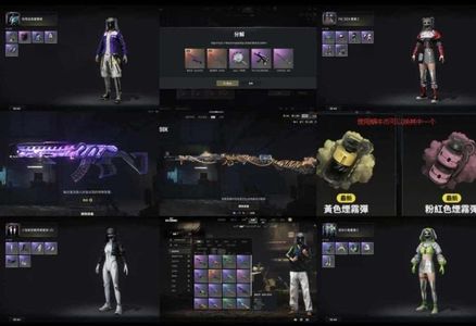 绝地求生（PUBG）生存等级1 名誉等级1 成长武器2 究极 载具 枪皮双成长武器加还有1060蜗牛币