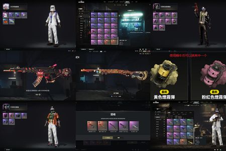 绝地求生（PUBG）双成长武器加还有1020蜗牛币