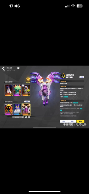 火炬之光：无限（国际服）至臻翅膀3级白鸟