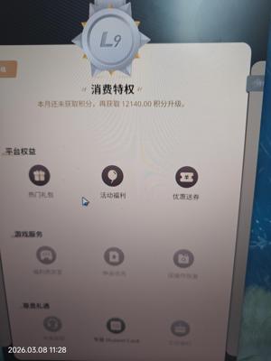 梦幻西游（手游）2024纯金加蓝皮